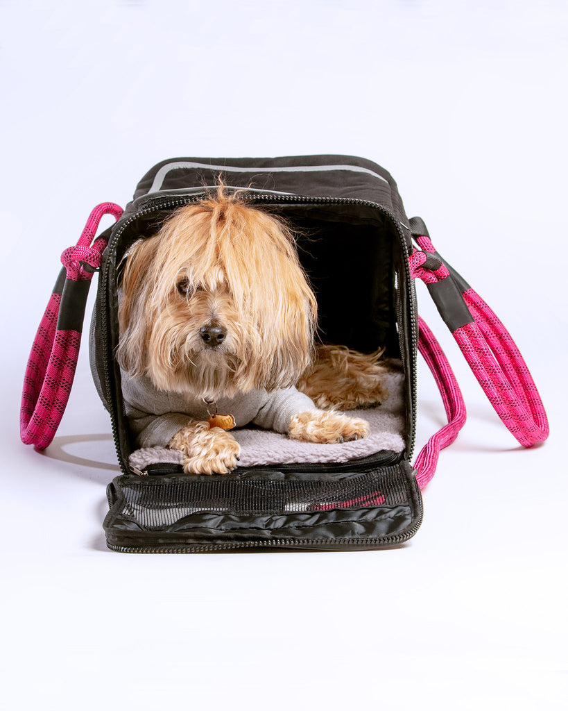 ROVERLUND Out-Of-Office Pet Carrier Black (w/ Magenta) / Small