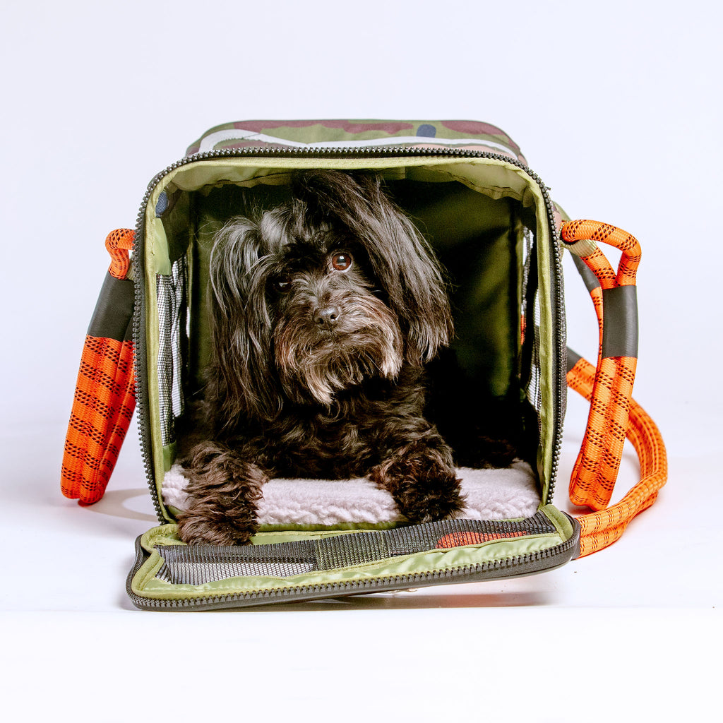 Away Pet Carrier Review: Best Dog Carrier for the Airplane