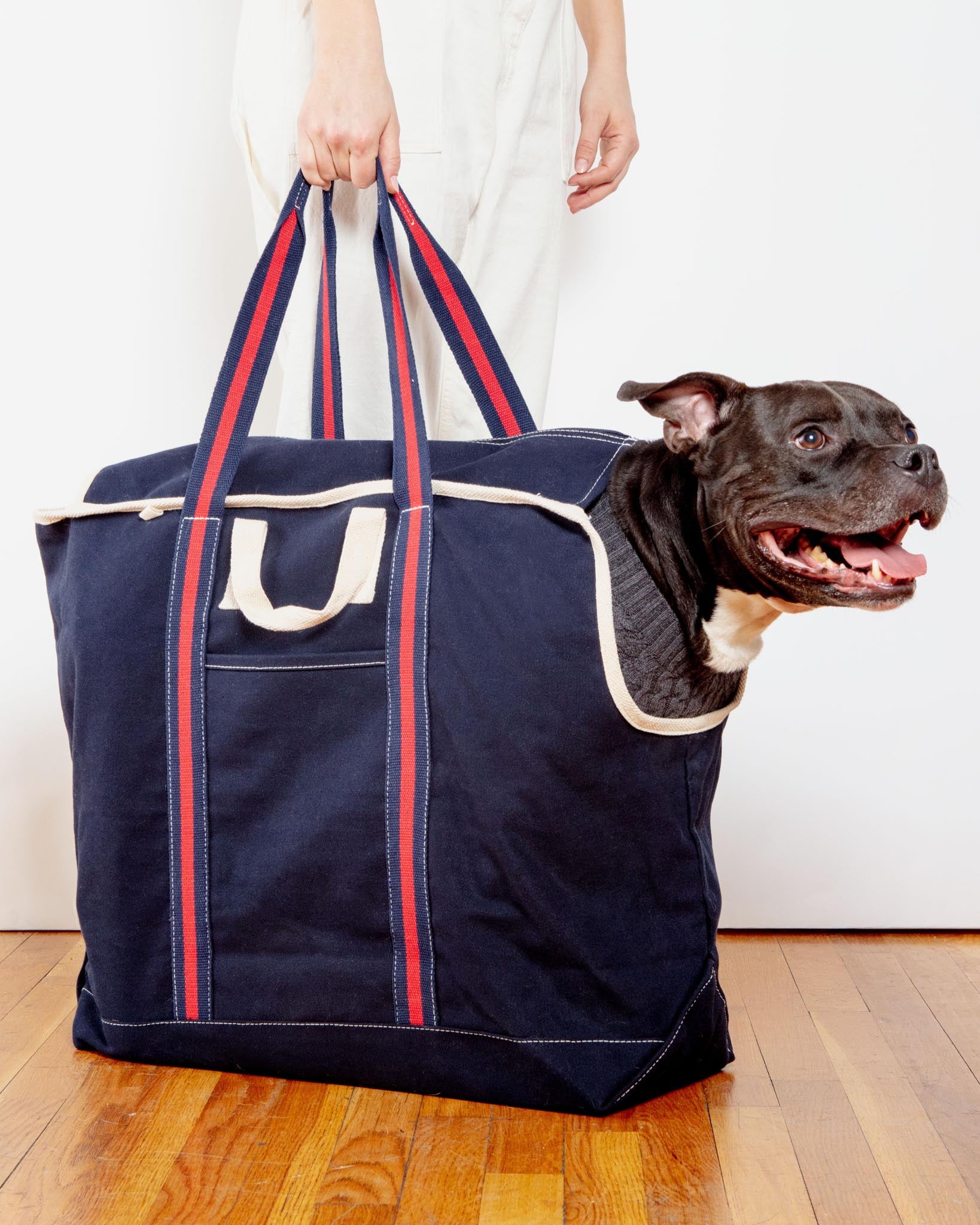 Cheap dog carrier bag best sale