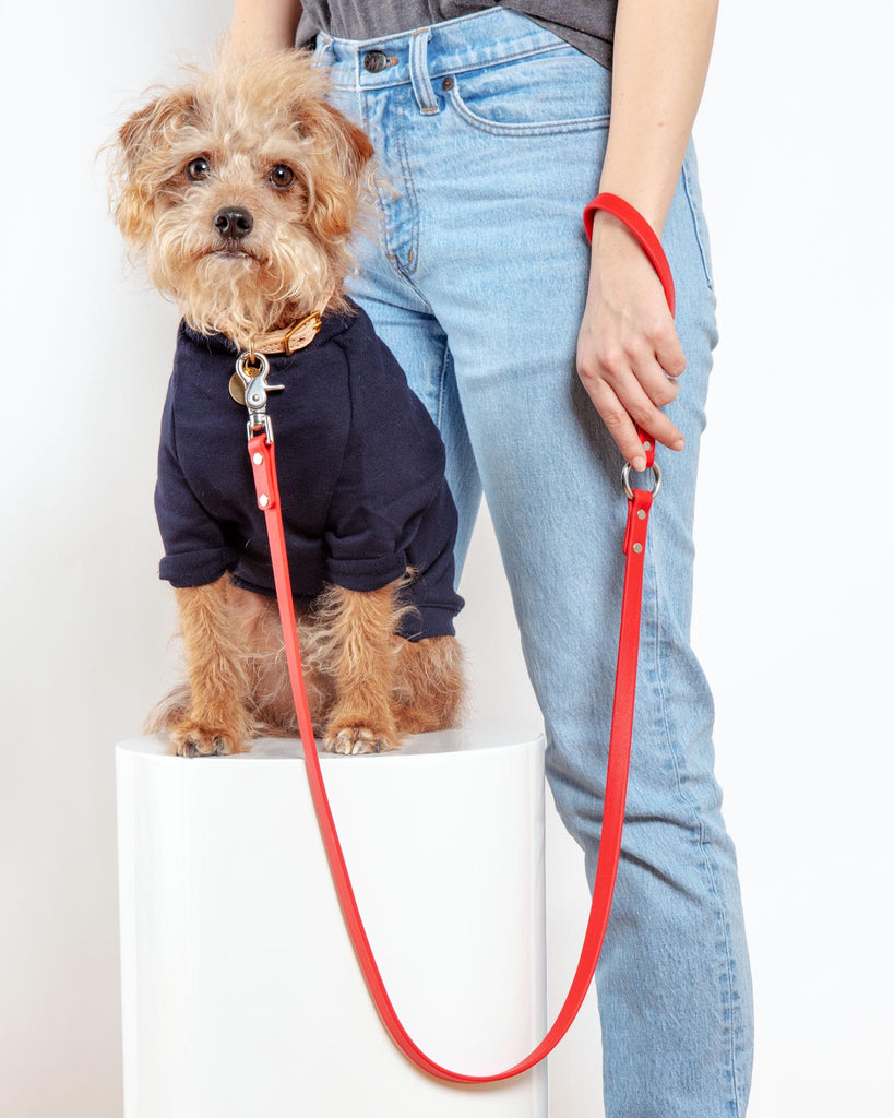 DOG & CO., Good Girl Bag Treat + Poop Bag Holder in Denim (Made in NYC)