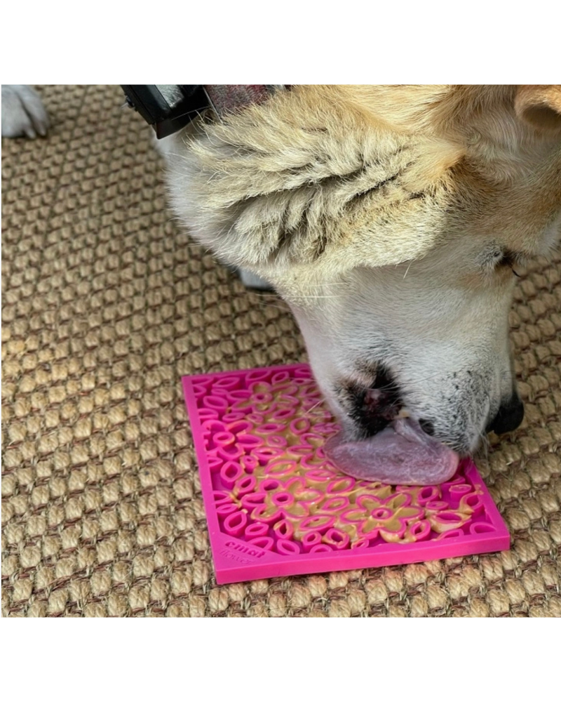 Nice Paws Dog Face 6 Lick Pad – Gralen Company