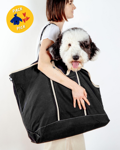 Bag to carry large dog hotsell