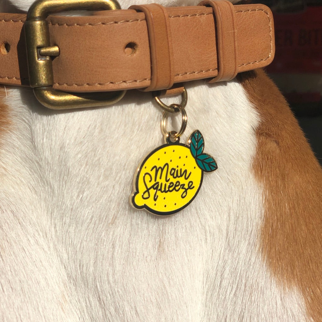 Main Squeeze Tag (Custom) DROP-SHIP TWO TAILS PET COMPANY   