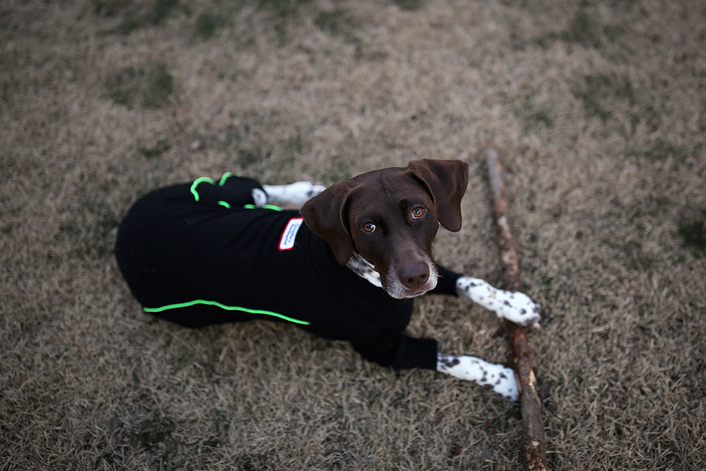 Bruce Warmer Dog Onesie in Black << CLEARANCE >> Wear CHARLIE'S BACKYARD   