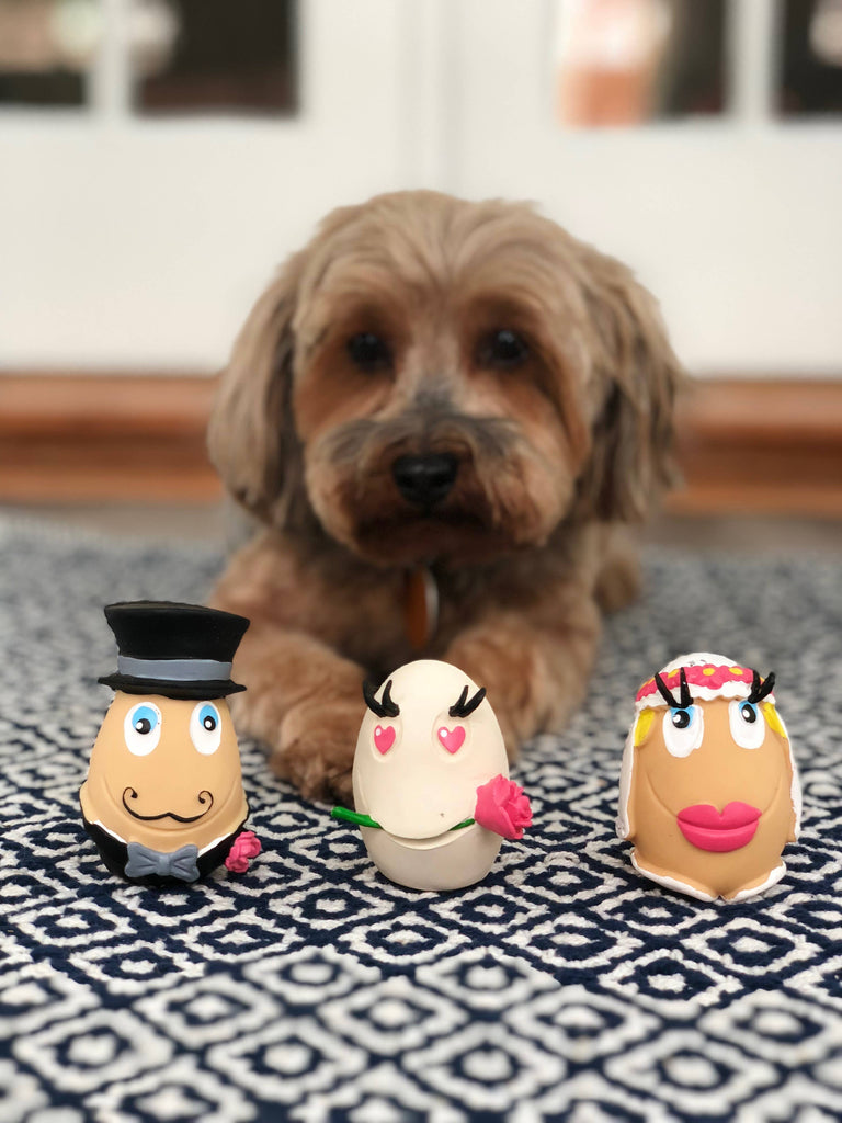 https://www.shopdogandco.com/cdn/shop/products/squeakyeggslancotoy_1024x1024.jpg?v=1600650557